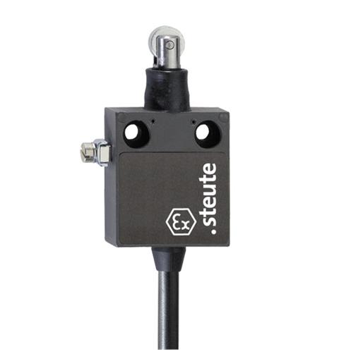 Ex Position switch Ex 12 WR 1m IP65 (1CO) II 2G Ex d IIC T6